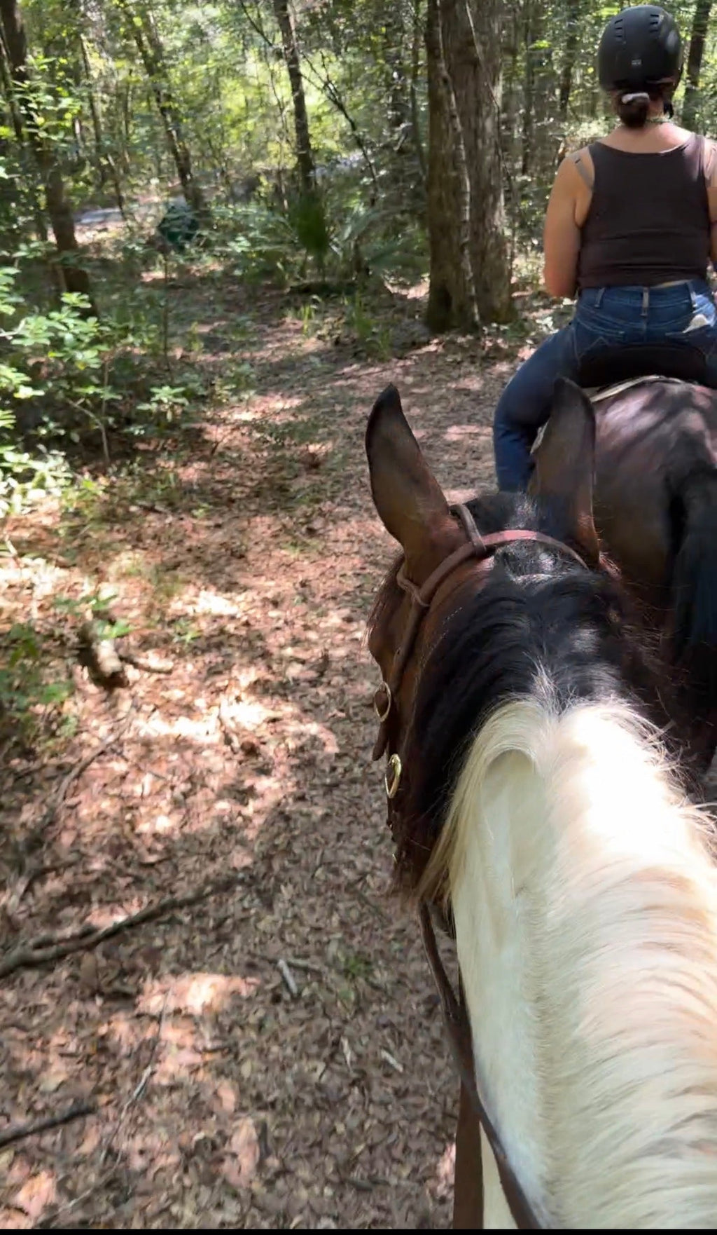 Blakely State Park Unbridled