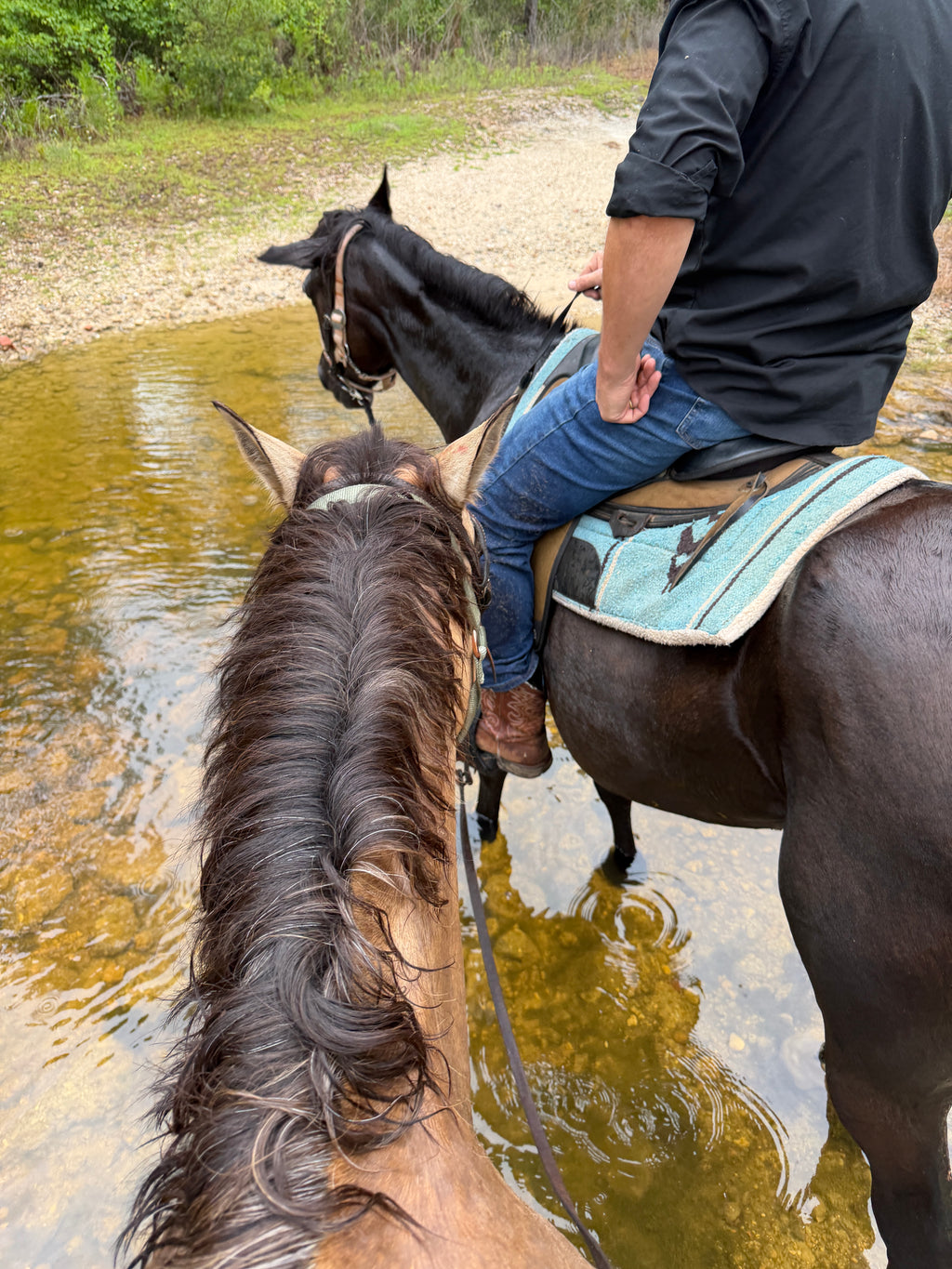 Perdido Equestrian Trail Unbridled