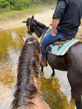 Perdido Equestrian Trail Unbridled