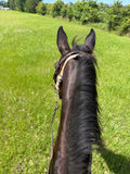 Unbridled Confidence Coaching 60 min
