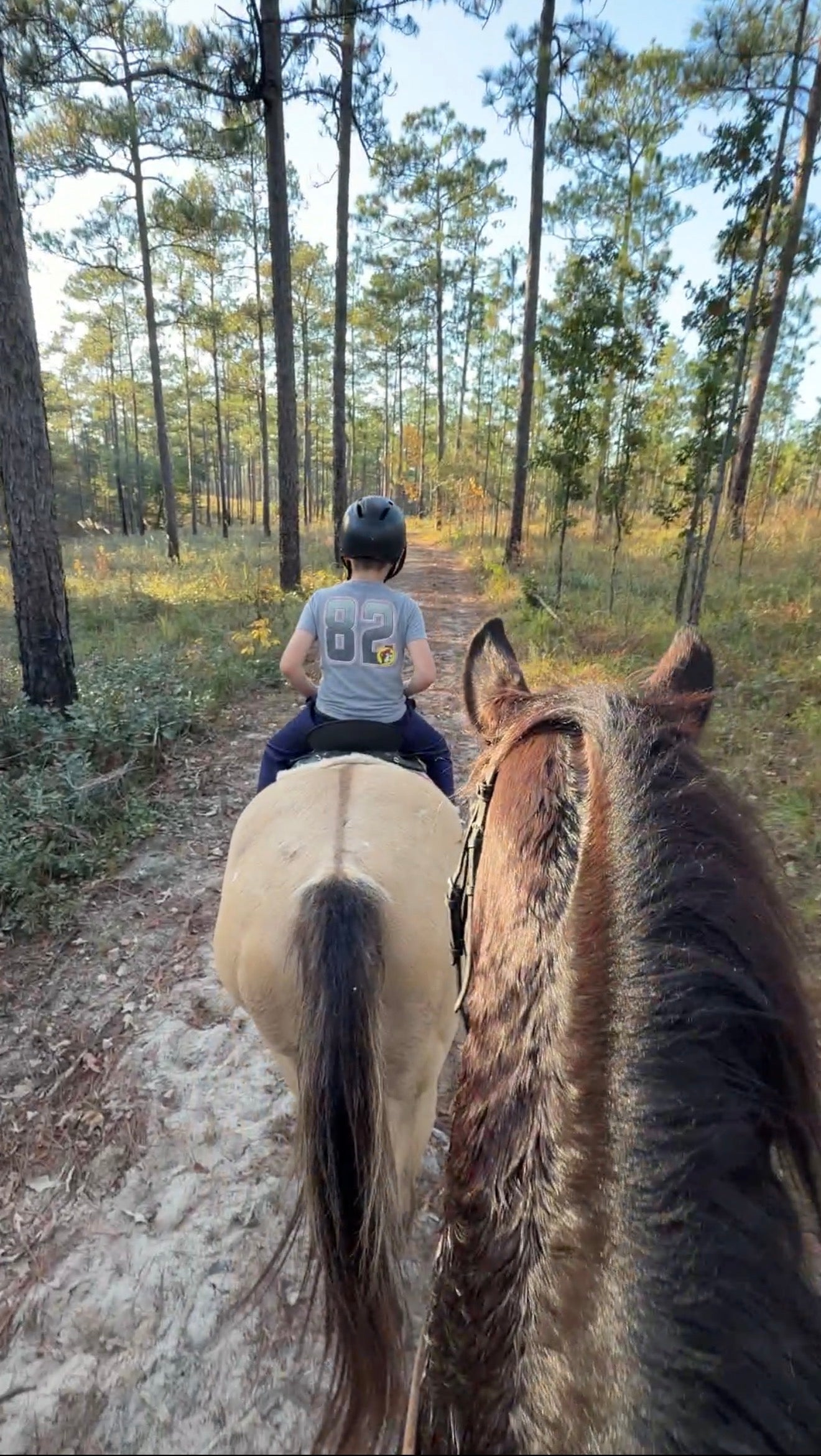 Coldwater Horse Trail Unbridled