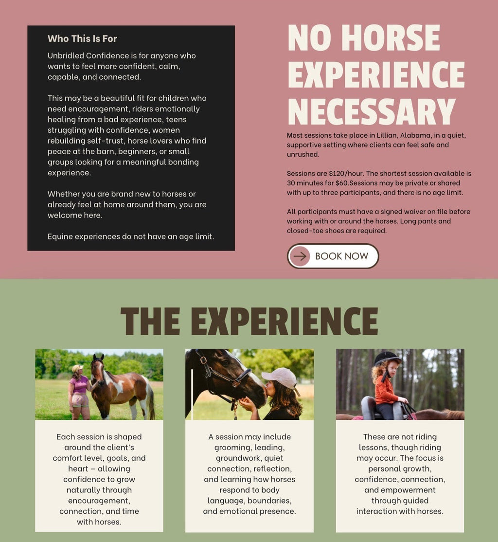 Equine Empowerment Experiences