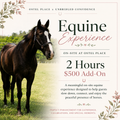 Equine Experience Enhancement